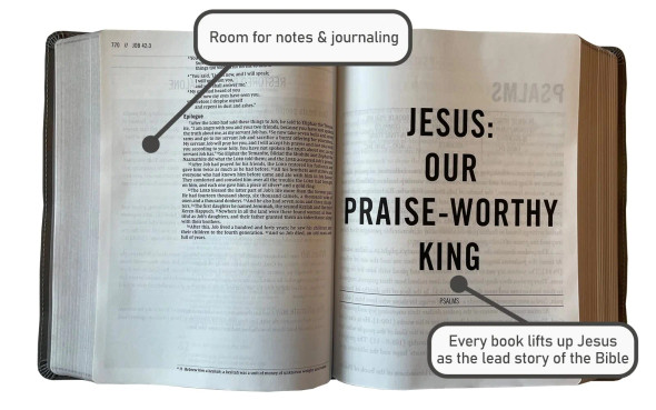 The Jesus Bible Artist Edition, ESV, Thumb Indexed, Leathersoft, Peach Floral (Case of 10)