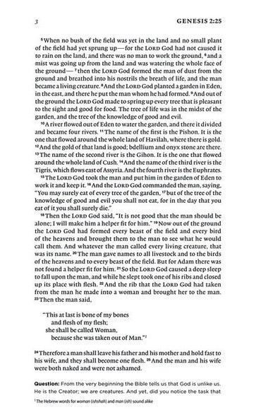 ESV Daily Reading Bible: A Guided Journey through God's Word - TruTone Brown (Case of 16)