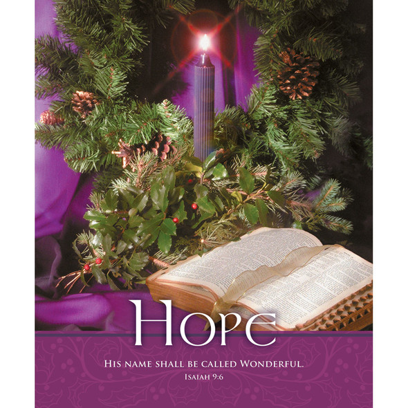 Church Bulletin 14" - Advent - Hope - H3728L (Pack of 100)