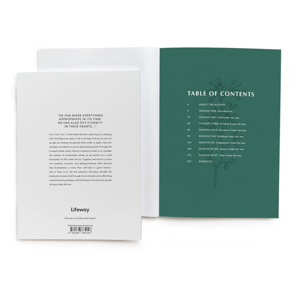 Life Under the Sun - Bible Study Book: The Unexpectedly Good News of Ecclesiastes