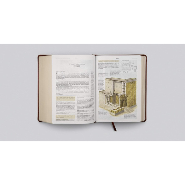 ESV Study Bible (TruTone, Walnut, Celtic Imprint Design) - Bulk Case of 6