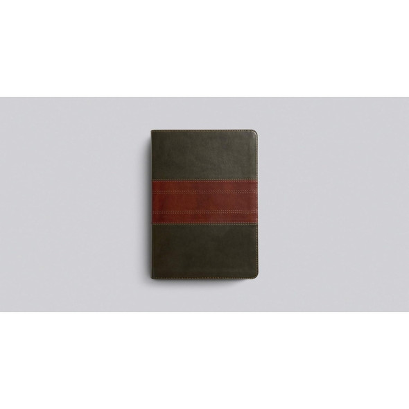 ESV Study Bible (TruTone, Forest/Tan) - Bulk Case of 6