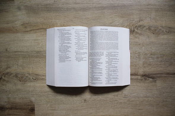 NIrV Children's Holy Bible, Softcover