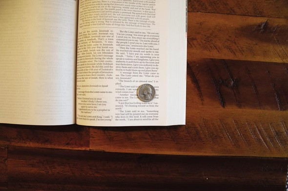 NIrV Children's Holy Bible, Softcover