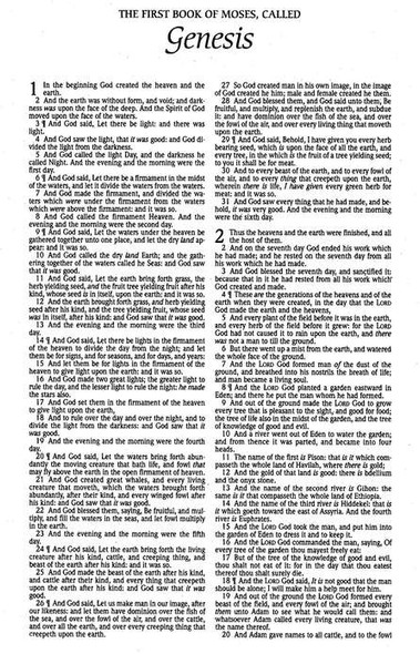 KJV Holy Bible, Economy (Softcover, Gold) - Bulk Case of 24