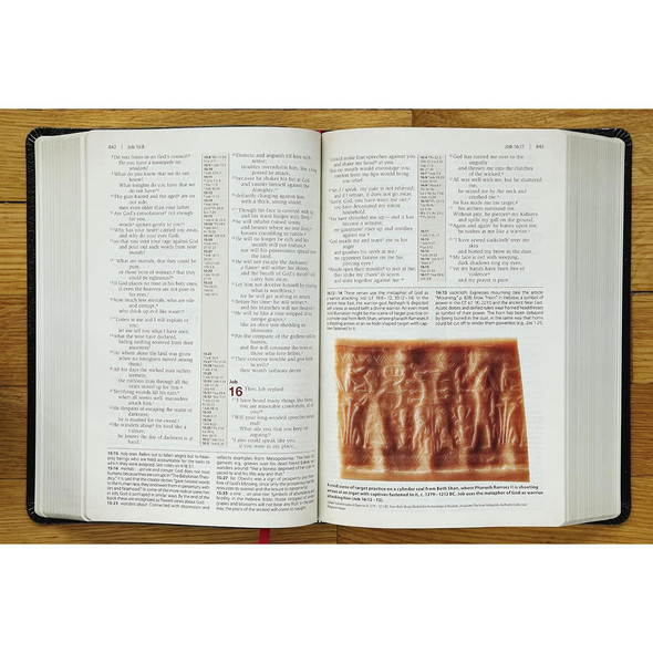 NIV Cultural Backgrounds Study Bible, Bonded Leather, Black - (Case of 8)
