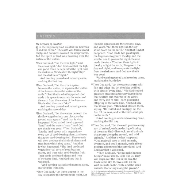 NLT Outreach Bible, Large Print Edition - Case of 28