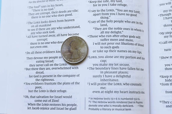 NIV Value Thinline Bible Blue, Imitation Leather