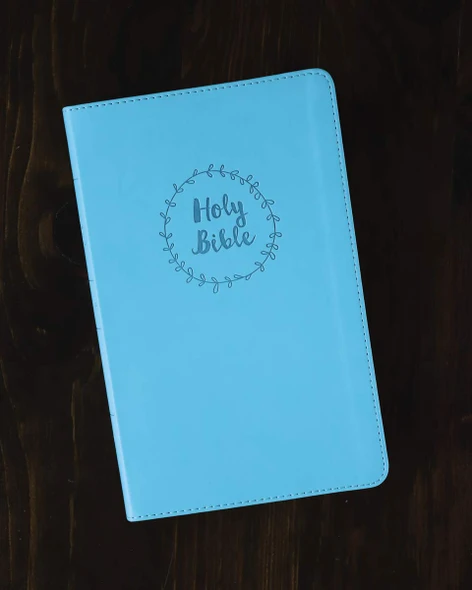 NIV Value Thinline Bible Blue, Imitation Leather