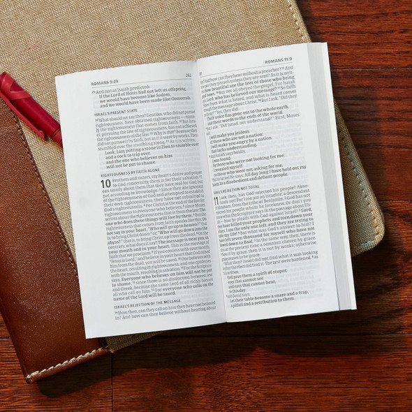 CSB Share Jesus Without Fear New Testament, Paperback - Bulk Case of 48