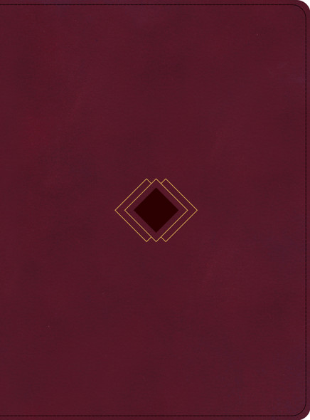 CSB Day-by-Day Chronological Bible, Burgundy LeatherTouch - Bulk Case of 12