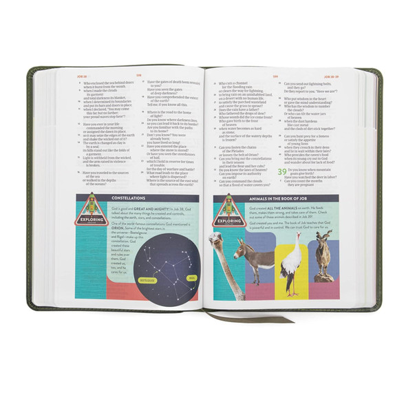 CSB Explorer Bible for Kids, Olive Compass LeatherTouch - Bulk Case of 12