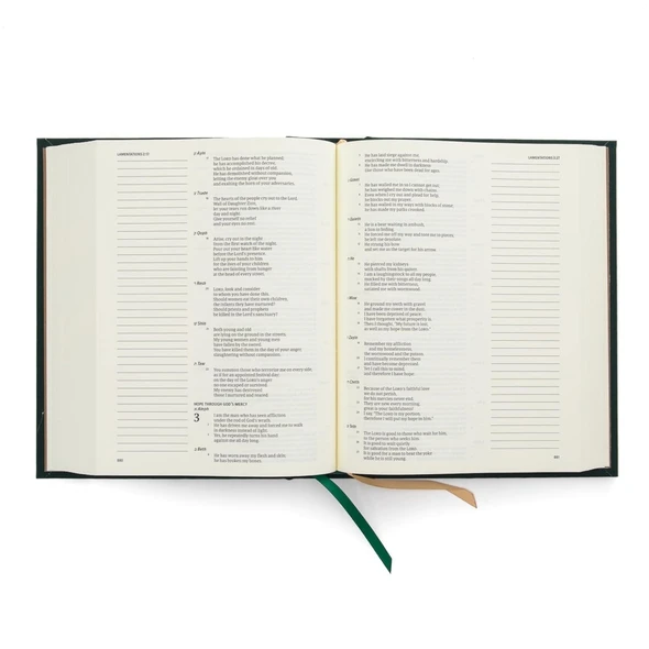 CSB Notetaking Bible, Stained Glass Edition, Emerald Cloth-Over-Board - Bulk Case of 12