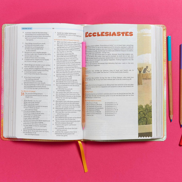 CSB One Big Story Bible, Rainbow Dust LeatherTouch - Case of 16