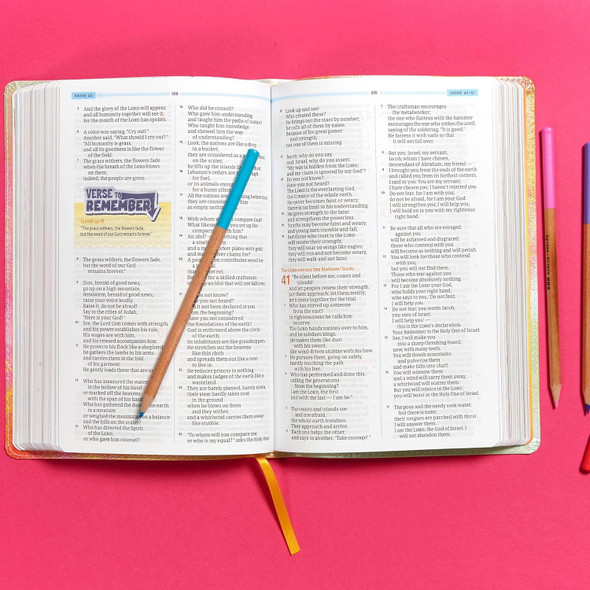CSB One Big Story Bible, Rainbow Dust LeatherTouch - Case of 16