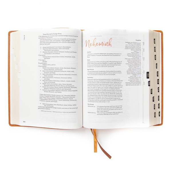 CSB Women's Bible, Butterscotch Genuine Leather - Bulk Case of 12