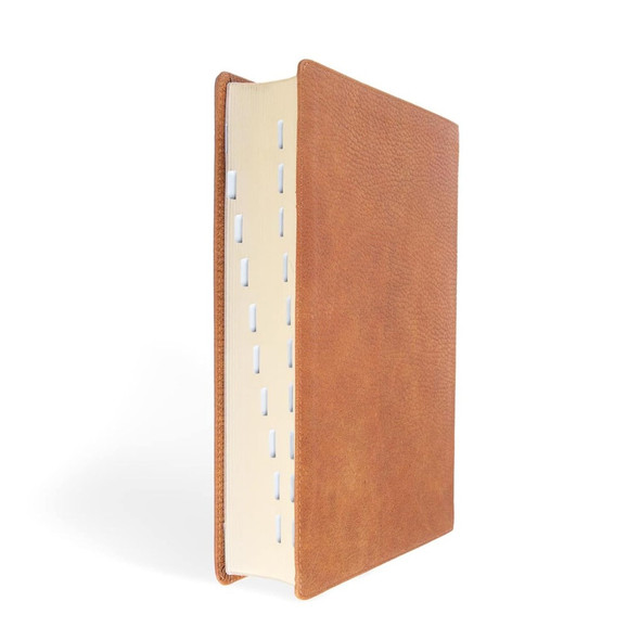 CSB Women's Bible, Butterscotch Genuine Leather - Bulk Case of 12
