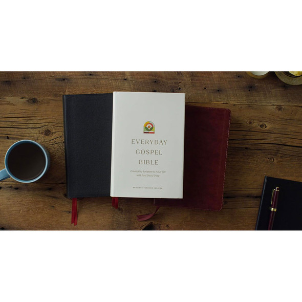 ESV Everyday Gospel Bible: Connecting Scripture to All of Life (Case of 12)
