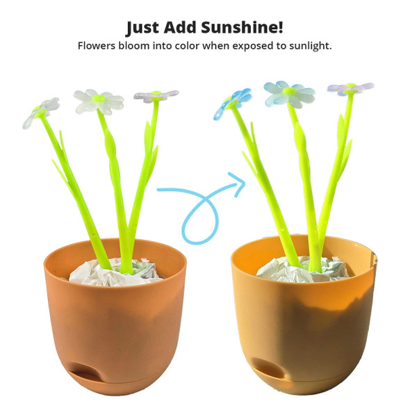 Flower Pens (Pkg 3) - Magnified! VBS 2025 by Lifeway