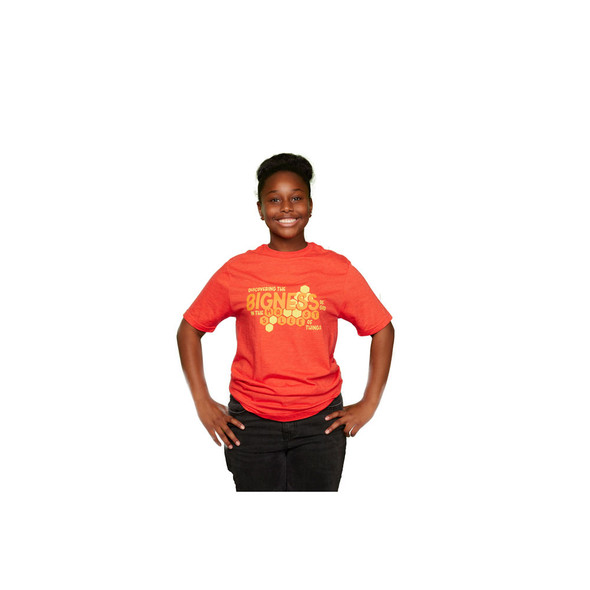 Adult Red Honeycomb T-Shirt - Adult X-Large - Magnified! VBS 2025 by Lifeway