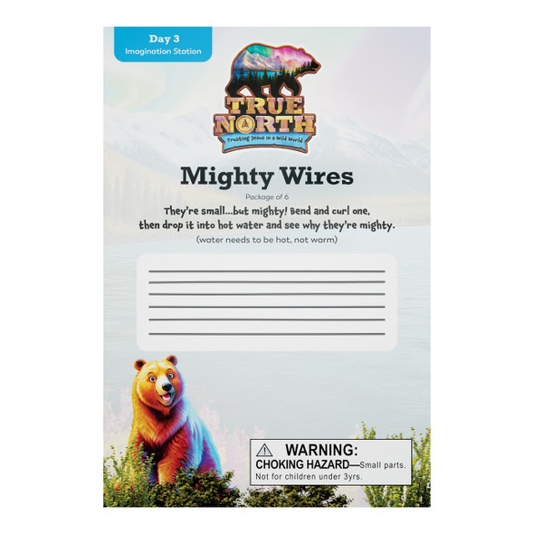 Mighty Wire Pack - True North VBS 2025 by Group