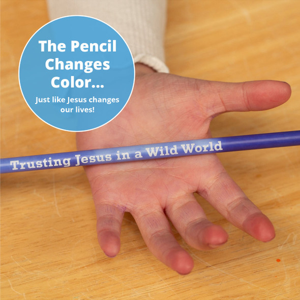 Polar Pencils - True North VBS 2025 by Group