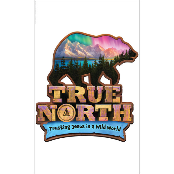 True North Giant Decorating Poster Pack (set of 6) (3 ft. x 5 ft.) - True North VBS 2025 by Group