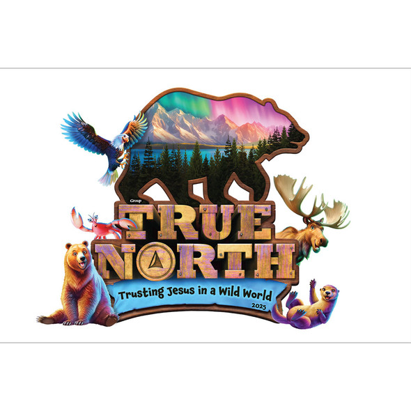 True North Iron-On Transfers (Pack of 10) - True North VBS 2025 by Group