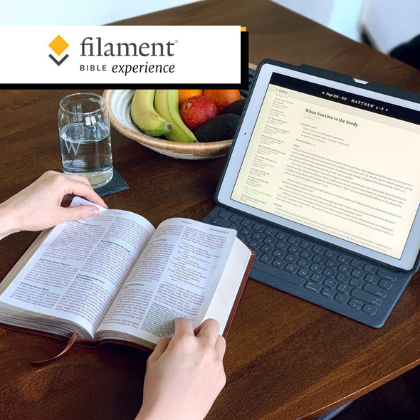 NLT Premium Value Thinline Bible, Filament Enabled Edition, soft leather-look, brown (Case of 24)