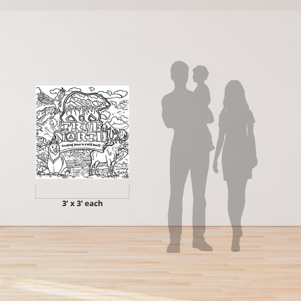 Giant Coloring Page, True North Bible Point Collection - 3ft x 3ft -  (Set of 6 Assorted Designs) - True North VBS 2025