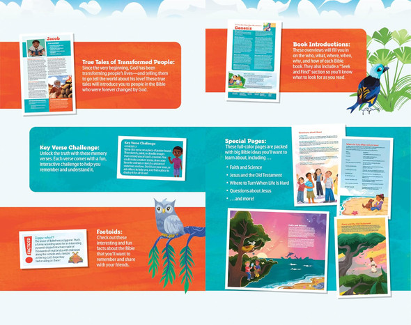 NLT Go Bible for Kids - LeatherLike, Beach Sunrise - Case of 12