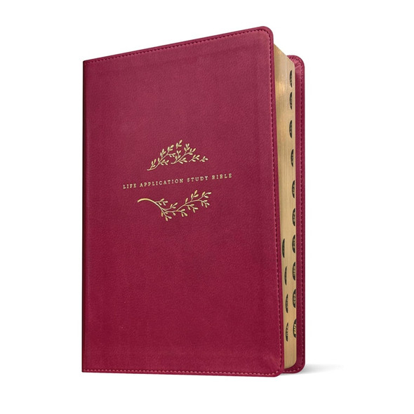 NLT Life Application Study Bible, Indexed, Third Edition, Large Print (Leatherlike, Berry) - Case of 6