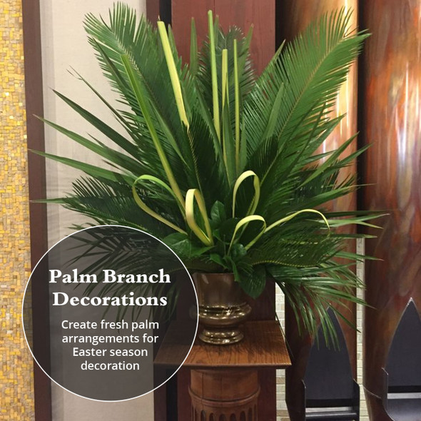 Fresh Fan Palm Branches (Pack of 4)
