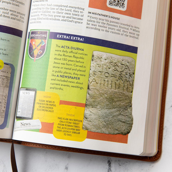 CSB Explorer Bible for Kids (LeatherTouch, Brown Mountains) - Bulk Case of 12