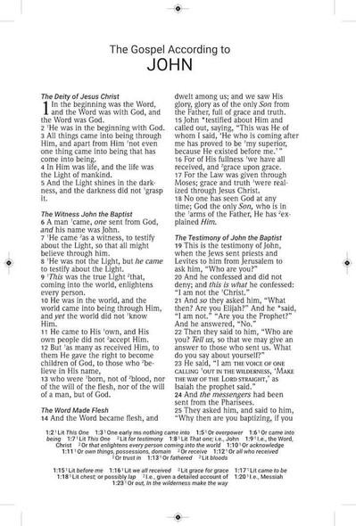 NASB 2020 Large Print Personal Size Bible with Full Translation Footnotes, Brown Leathertex - Bulk Case of 12