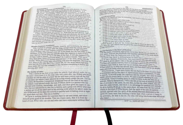 NASB 2020 Large Print Compact Bible, Brown Leathertex - Bulk Case of 16