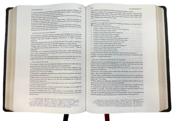 NASB 2020 Wide Margin Reference Bible, Black Genuine Leather - Bulk Case of 8