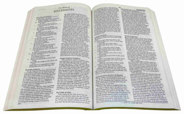 NASB 2020 Outreach Bible, Full-Color Paperback - Bulk Case of 24