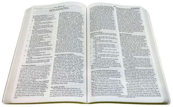 NASB 2020 Ultrathin Text Bible, Brown Leathertex - Bulk Case of 24