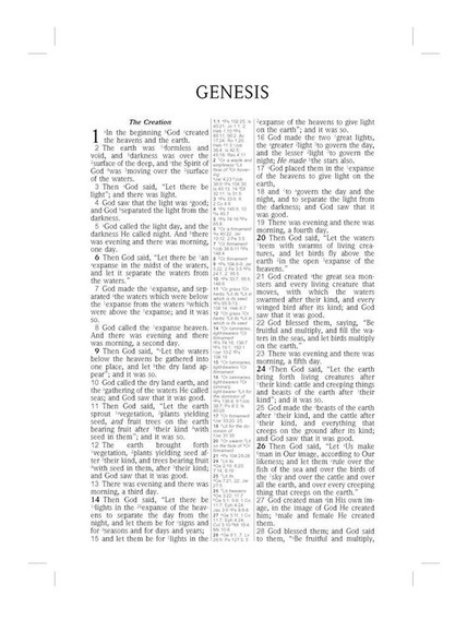 NASB 1995 Large Print Ultrathin Reference Bible, Brown Genuine Leather - Bulk Case of 8