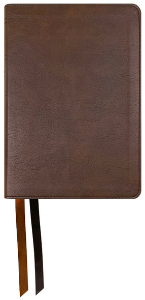 NASB 1995 Large Print Compact Bible (Imitation Leather, Blue
