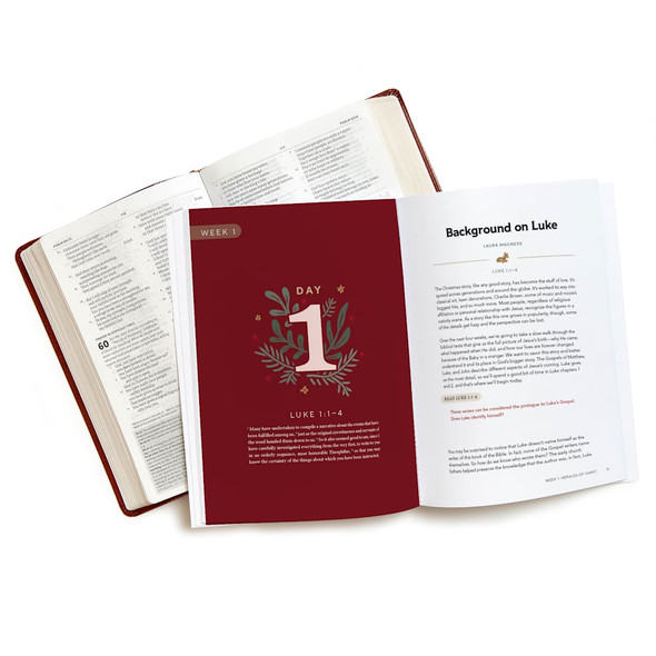 Behold the Savior - Advent Bible Study Book for Women: Treasuring the Story of Christmas