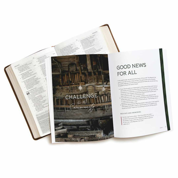 Behold the Savior - Advent Bible Study Book for Men: Treasuring the Story of Christmas