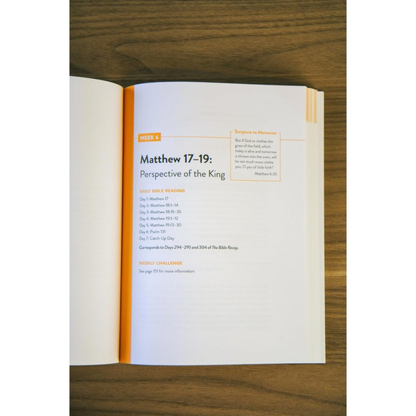 Knowing Jesus As King (Bible Recap Knowing Jesus Series) - Bulk Case of 24