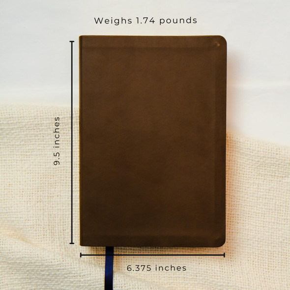 The Bible Recap 365-Day Chronological Study Bible (Imitation Leather, Brown) - Bulk Case of 8