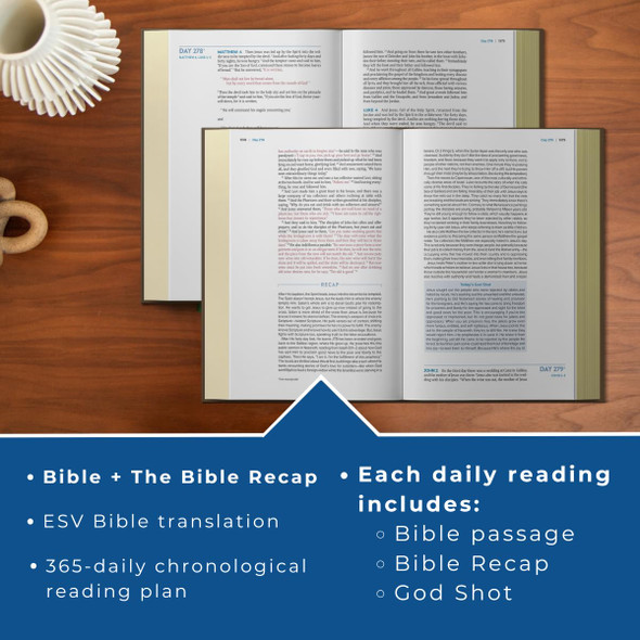 The Bible Recap 365-Day Chronological Study Bible (Imitation Leather, Brown) - Bulk Case of 8