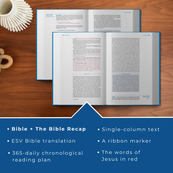 The Bible Recap 365-Day Chronological Study Bible - Bulk Case of 8