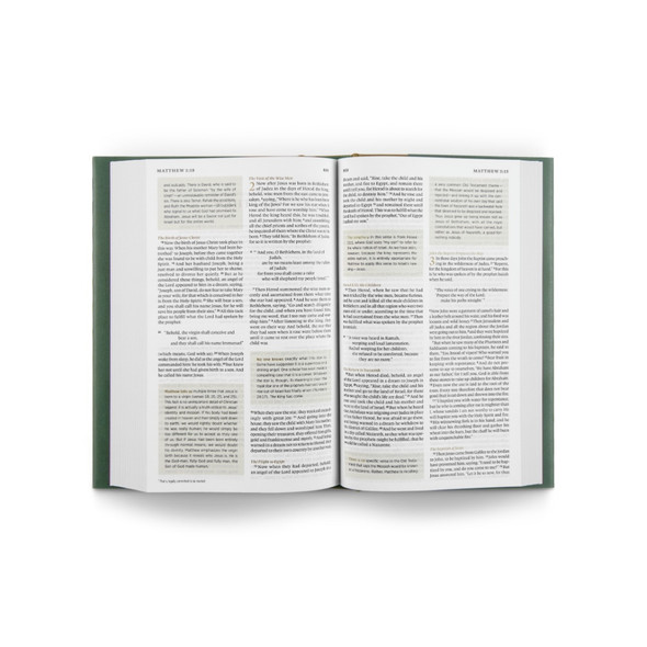 The One Story Bible (Hardcover)