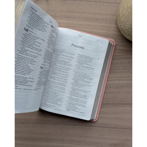 NLT Compact Bible, Filament Enabled (Imitation Leather, Holy Dusty Pink) - Bulk Case of 40