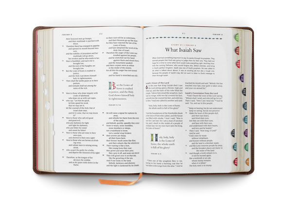 ESV The Biggest Story Holy Bible for Kids, Indexed (TruTone, Brown, Living Hope) - Bulk Case of 8